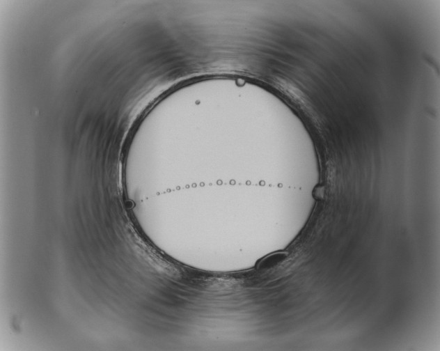 X0000100771324200807101742