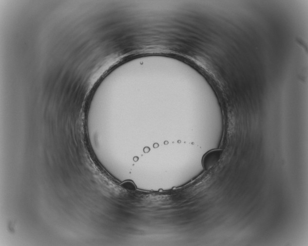 X0000100771325200807101742