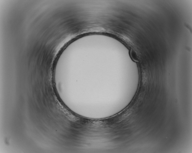 X0000100771326200807101742
