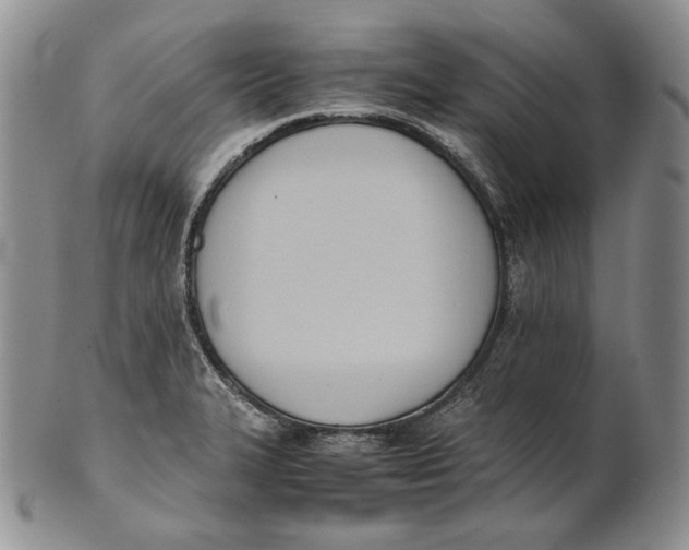 X0000100771327200807101742