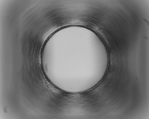 X0000100771328200807101742