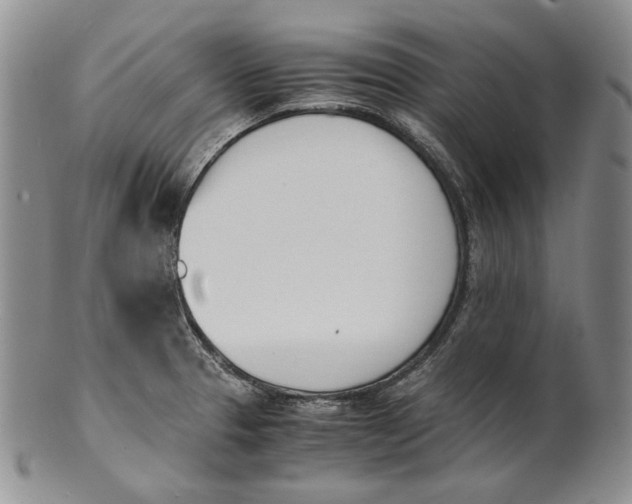 X0000100771329200807101742