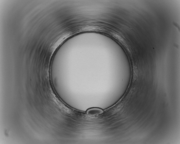 X0000100771330200807101742