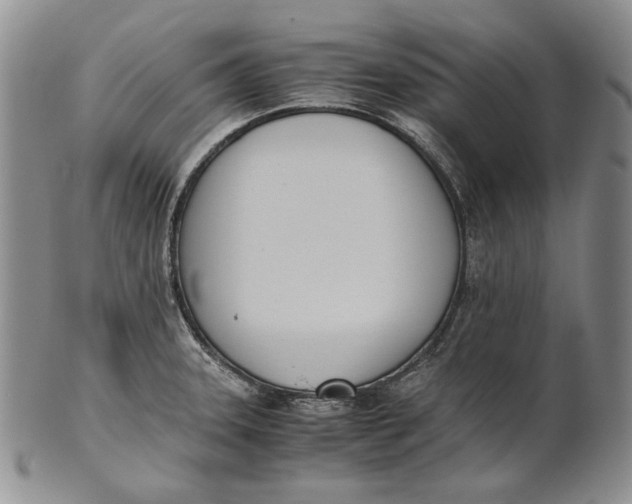 X0000100771331200807101742
