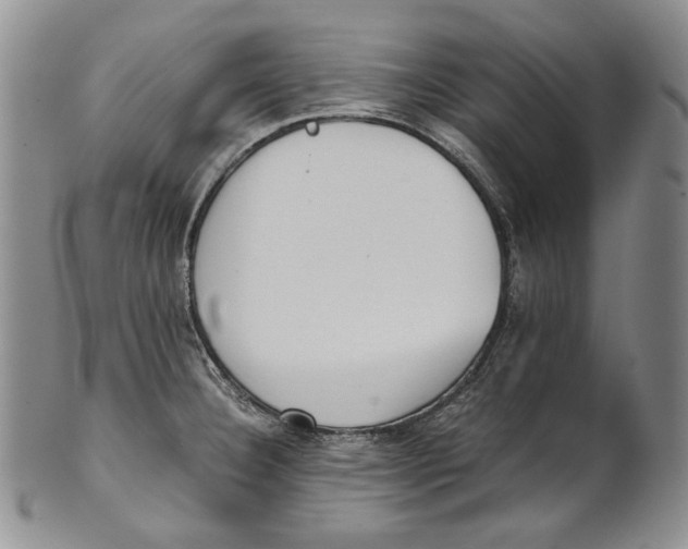X0000100771332200807101742