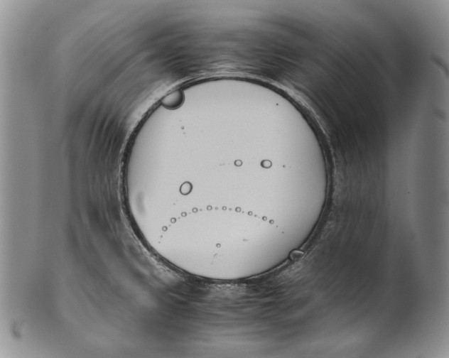 X0000100771333200807101742