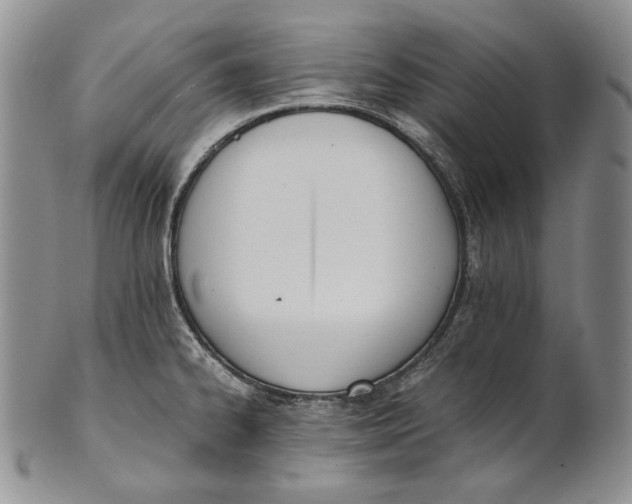 X0000100771334200807101742