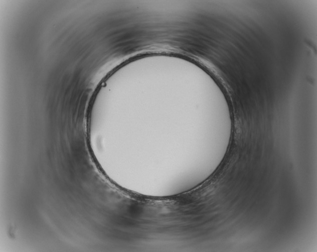 X0000100771335200807101742