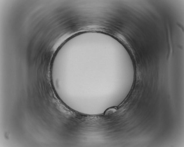 X0000100771336200807101742