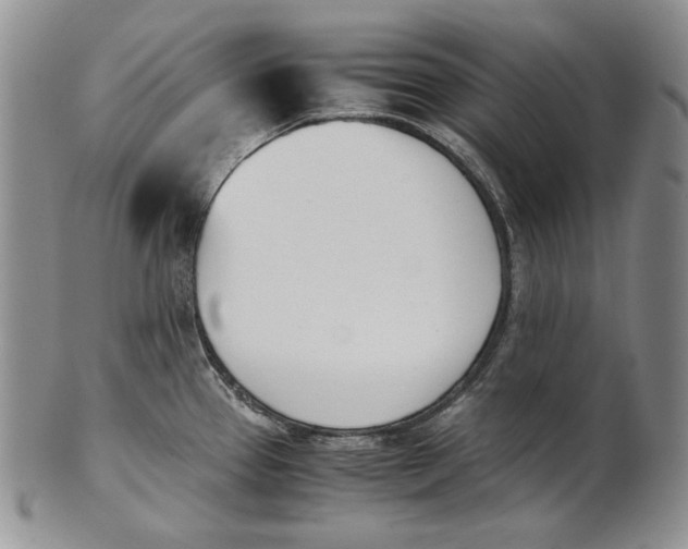 X0000100771337200807101742