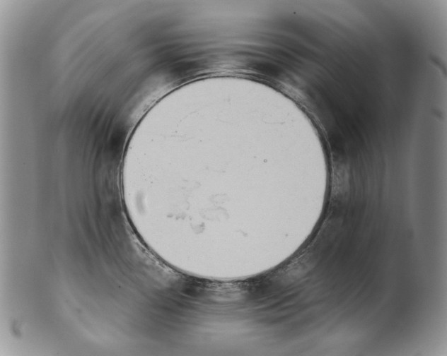 X0000100771338200807101742