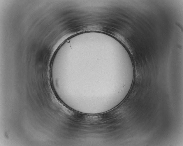 X0000100771339200807101742
