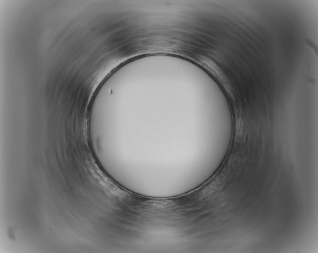 X0000100771340200807101742