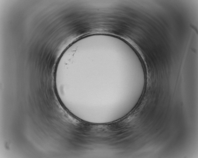 X0000100771341200807101742