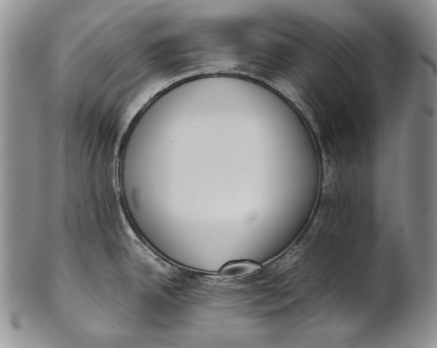 X0000100771342200807101742