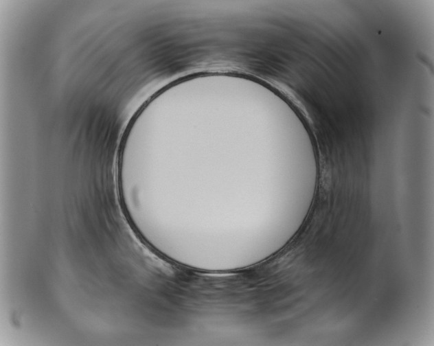 X0000100771343200807101742