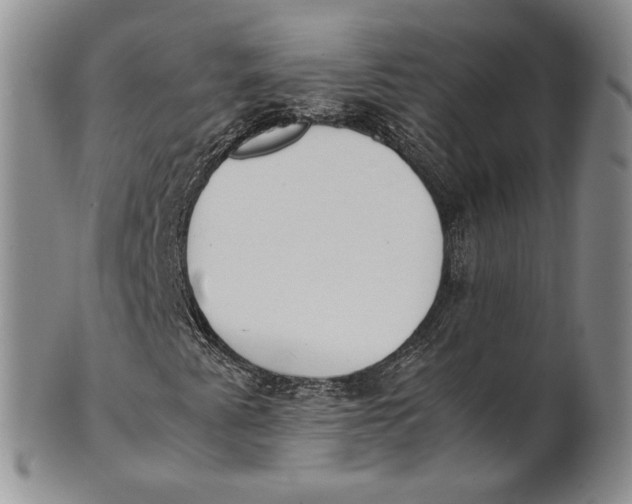 X0000100771345200807101741
