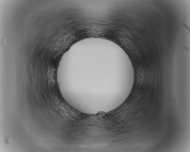 X0000100771346200807101741