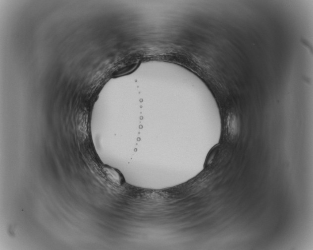 X0000100771348200807101741