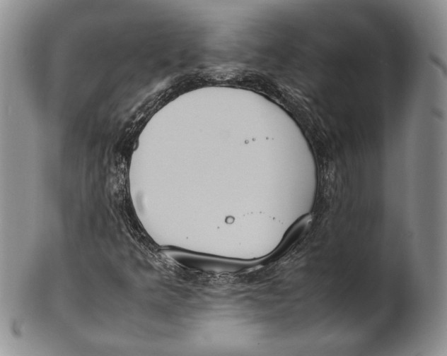 X0000100771349200807101741