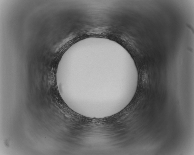 X0000100771350200807101741