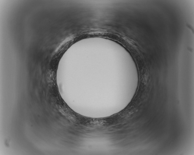 X0000100771351200807101741