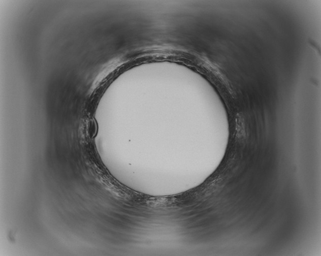 X0000100771352200807101741