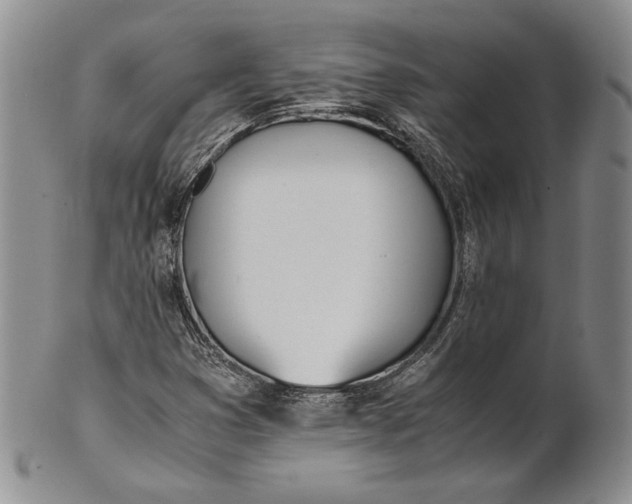 X0000100771353200807101741