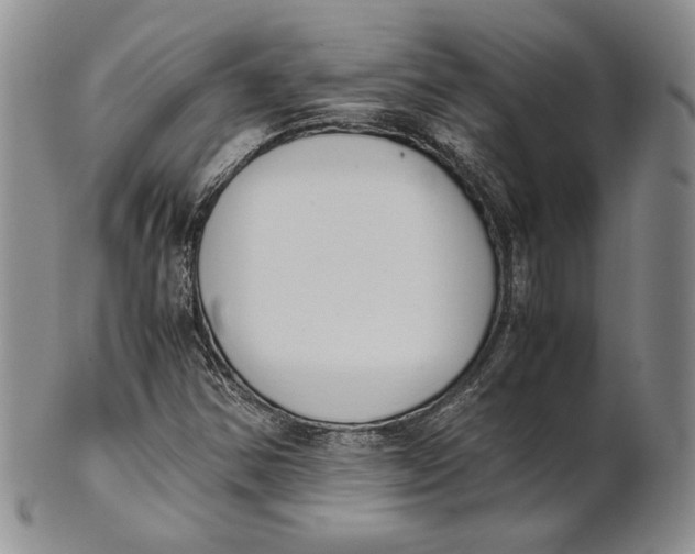 X0000100771354200807101741