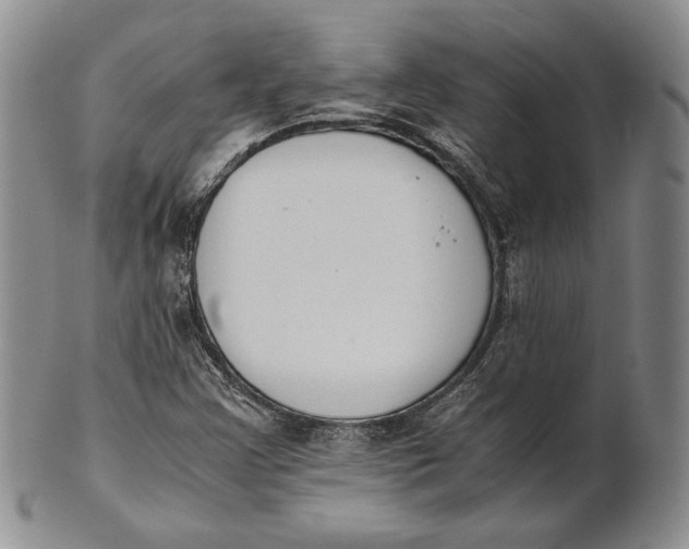 X0000100771355200807101741