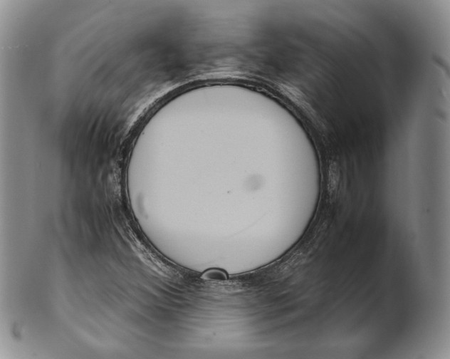 X0000100771356200807101741