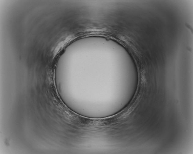 X0000100771357200807101741