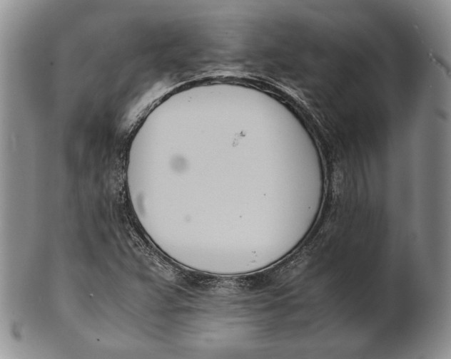 X0000100771359200807101741