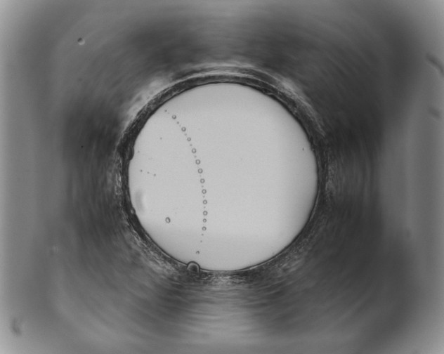 X0000100771360200807101741