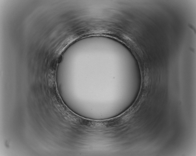 X0000100771361200807101741