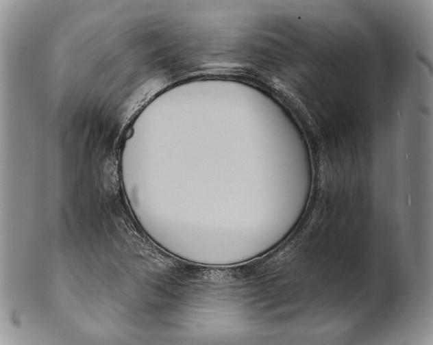 X0000100771362200807101741