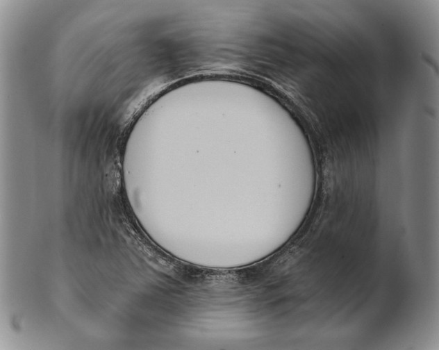 X0000100771363200807101741