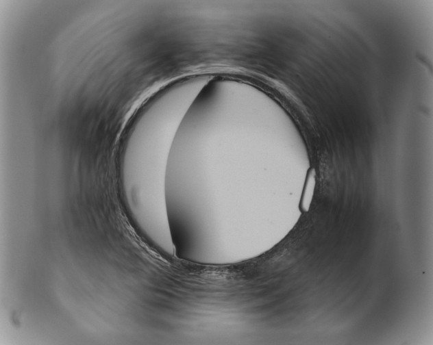 X0000100771364200807101741