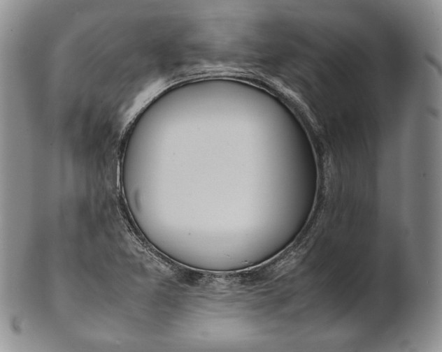 X0000100771365200807101741