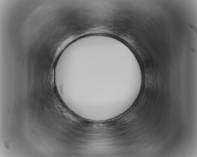 X0000100771366200807101741
