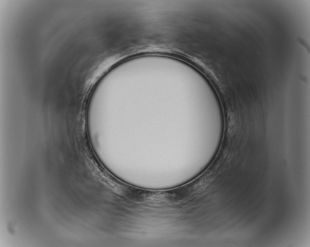 X0000100771367200807101741