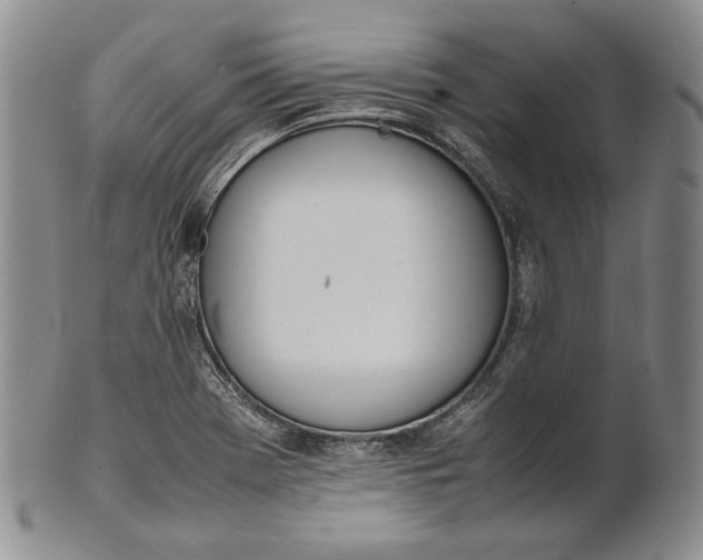 X0000100771369200807101741