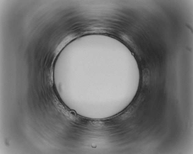 X0000100771370200807101741