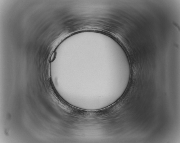 X0000100771371200807101741