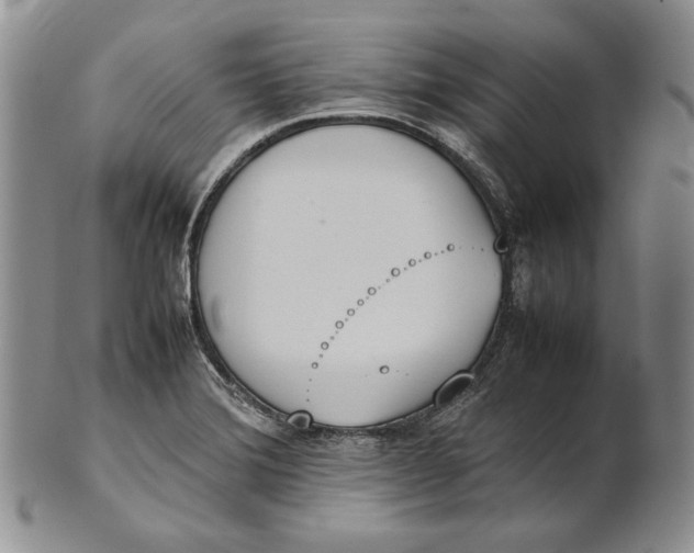 X0000100771372200807101741