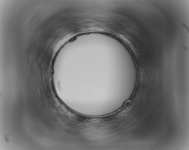 X0000100771373200807101741
