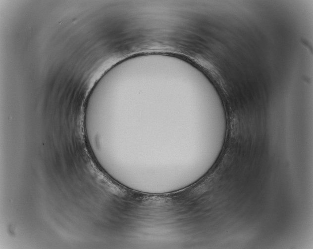 X0000100771374200807101741