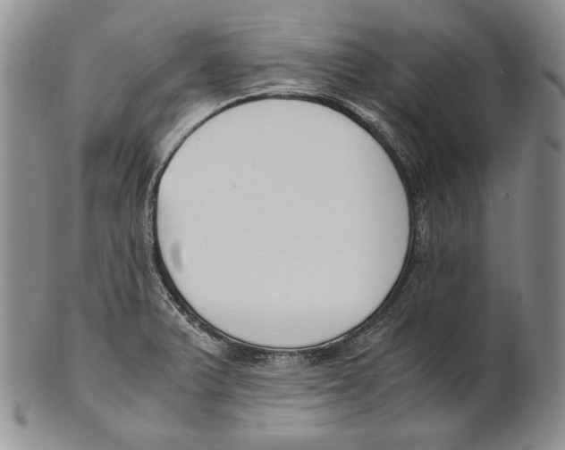 X0000100771375200807101741