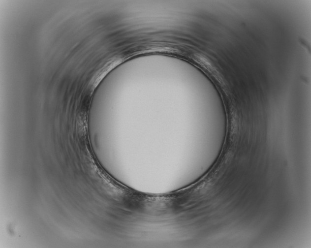 X0000100771377200807101741