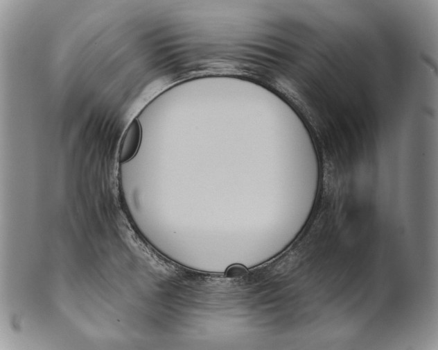 X0000100771378200807101741